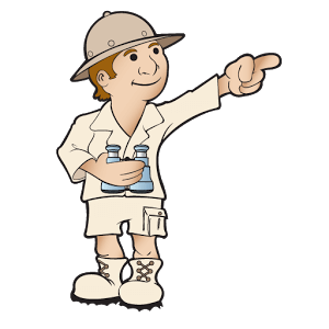 Svensk guide
